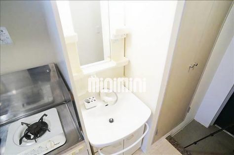 グリーンリーフの画像