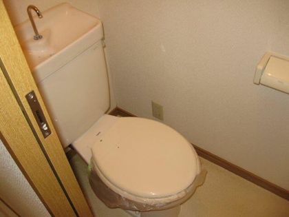 リンピアリリーの画像