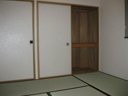 リンピアリリーの画像