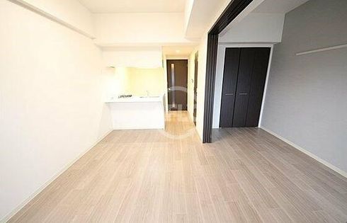 プレサンス難波インフィニティのプレサンス難波インフィニティ 廊下