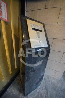 プレサンス難波インフィニティ オートロック