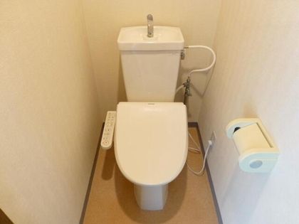 シロハイヌの画像