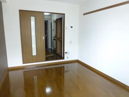 シロハイヌの画像