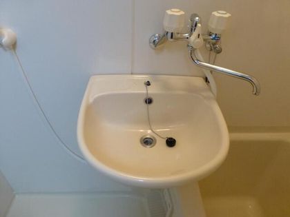 シロハイヌの画像