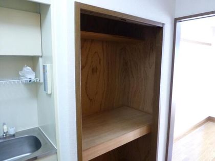 シロハイヌの画像