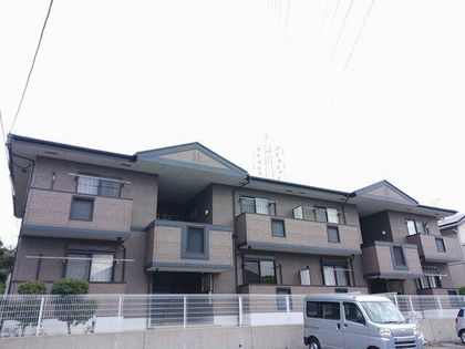 サンコリ−ヌ Aの画像
