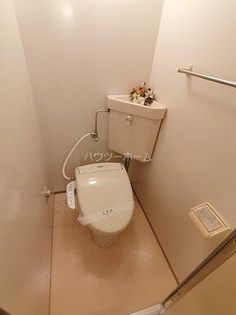 カシオペアの画像
