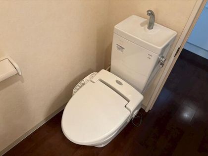 グレイス長等の画像