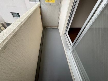 グレイス長等の画像