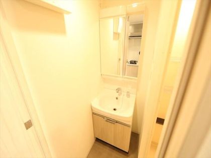 ディアレイシャス矢場町の脱衣所 独立洗面台(シャンプードレッサー付)収納スペース有