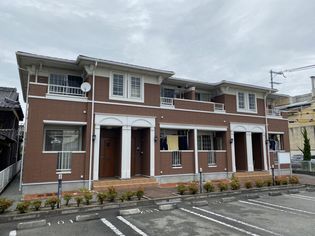 ティエラ・アサヒの画像