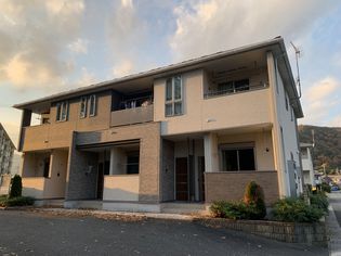 モス フロックス ノイの画像