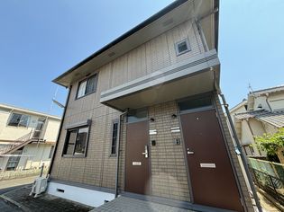 ファミールセイリュウの画像