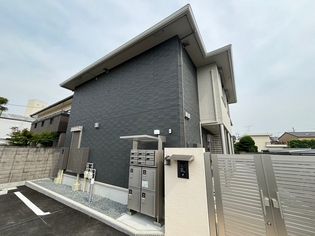 Zenisの画像