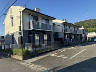 ヒダリタカバネ526の画像
