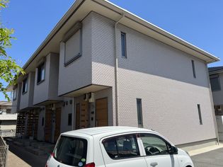 ヴィヴァーチェの画像