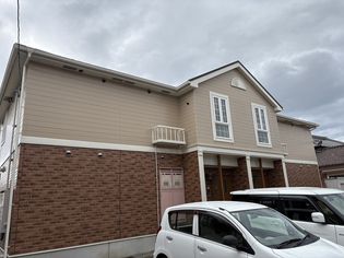 モーニンググローリーⅡの画像