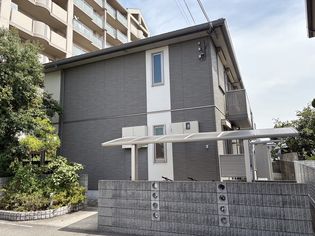 コモド恵美酒の画像