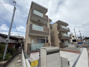 F asecia propusの画像