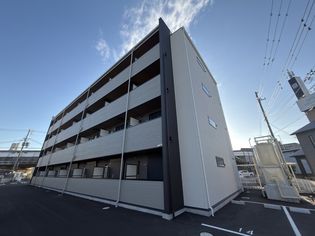 シェリル加古川の画像