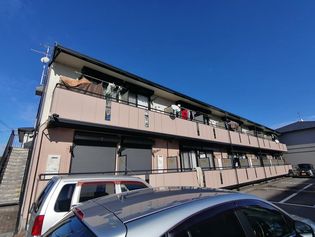 ベルセゾンミキの画像