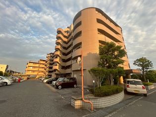 ロイヤルシャトー手柄南の画像