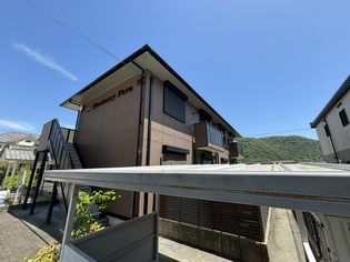 ブルーベリーファームの画像