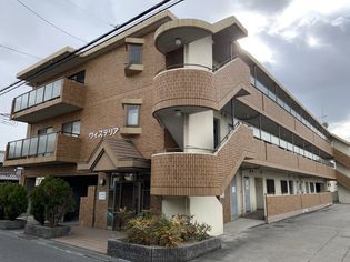 ウィステリアの画像