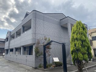 ヴァン ヴェールの画像