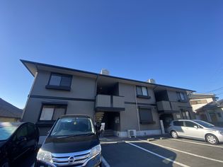 パーム・コートの画像