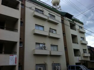 コーエイハイツの画像