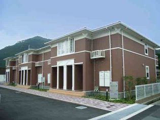 ウィル ヴェスティージ 壱番館の画像