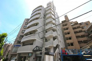 ダンディライオン灘の画像