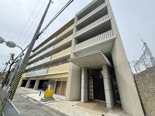 アロハ海岸通の画像