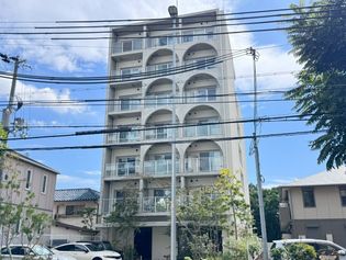 DITA Decoller海岸通の画像