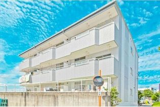 ライム21の画像