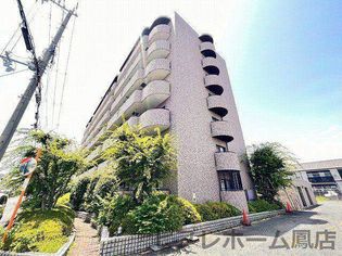 大阪府泉大津市北豊中町1丁目の賃貸マンションの画像