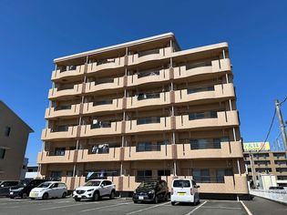 クオーリの画像