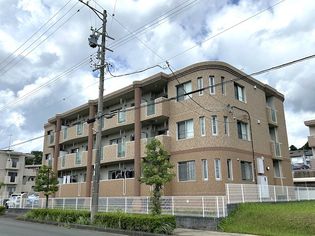 アイヴィの画像