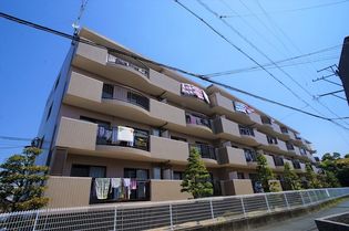 ピアンテ四ツ池の画像