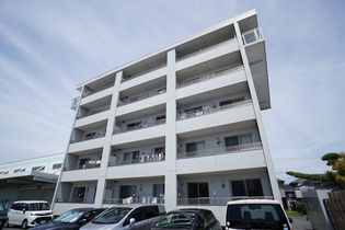 ゴールドスカイの画像