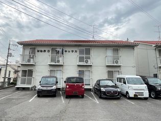 はねおキッタカAの画像