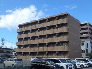 マリベールの画像