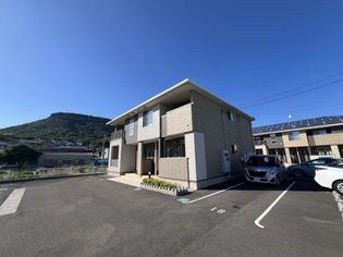 ブルースターBの画像