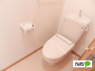 キャナールの画像