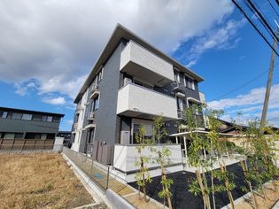 マハロの画像