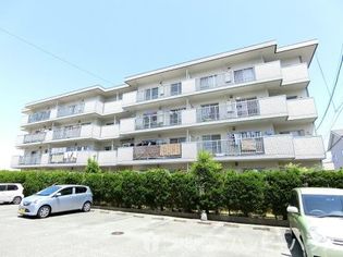 ビレッジ都府楼IIの画像