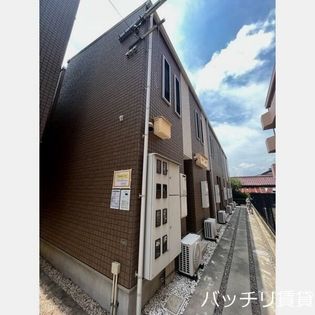 Paramount Lifeの画像