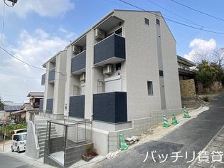 ソールリオンの画像