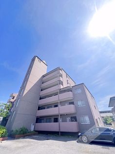 セルサス和泉の画像